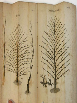 A TREATISE ON THE CULTURE AND MANAGEMENT OF FRUIT TREES; IN WHICH A NEW METHOD OF PRUNING AND TRAINING IS FULLY DESCRIBED. TOGETHER WITH OBSERVATIONS ON THE DISEASES, DEFECTS, AND INJURIES, IN ALL KINDS OF FRUIT AND FOREST TREES; AS ALSO, AN ACCOUNT OF A PARTICULAR METHOD OF CURE, MADE PUBLIC BY ORDER OF THE BRITISH GOVERNMENT. BY WILLIAM FORSYTH... GARDENER TO HIS MAJESTY AT KENSINGTON AND ST. JAMES'. TO WHICH ARE ADDED, AN INTRODUCTION AND NOTES, ADAPTING THE RULES OF THE TREATISE TO THE CLIMATE AND SEASONS OF THE UNITED STATES OF AMERICA. BY WILLIAM COBBETT.