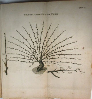 A TREATISE ON THE CULTURE AND MANAGEMENT OF FRUIT TREES; IN WHICH A NEW METHOD OF PRUNING AND TRAINING IS FULLY DESCRIBED. TOGETHER WITH OBSERVATIONS ON THE DISEASES, DEFECTS, AND INJURIES, IN ALL KINDS OF FRUIT AND FOREST TREES; AS ALSO, AN ACCOUNT OF A PARTICULAR METHOD OF CURE, MADE PUBLIC BY ORDER OF THE BRITISH GOVERNMENT. BY WILLIAM FORSYTH... GARDENER TO HIS MAJESTY AT KENSINGTON AND ST. JAMES'. TO WHICH ARE ADDED, AN INTRODUCTION AND NOTES, ADAPTING THE RULES OF THE TREATISE TO THE CLIMATE AND SEASONS OF THE UNITED STATES OF AMERICA. BY WILLIAM COBBETT.