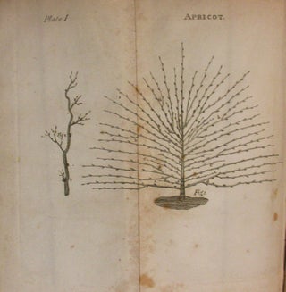 A TREATISE ON THE CULTURE AND MANAGEMENT OF FRUIT TREES; IN WHICH A NEW METHOD OF PRUNING AND TRAINING IS FULLY DESCRIBED. TOGETHER WITH OBSERVATIONS ON THE DISEASES, DEFECTS, AND INJURIES, IN ALL KINDS OF FRUIT AND FOREST TREES; AS ALSO, AN ACCOUNT OF A PARTICULAR METHOD OF CURE, MADE PUBLIC BY ORDER OF THE BRITISH GOVERNMENT. BY WILLIAM FORSYTH... GARDENER TO HIS MAJESTY AT KENSINGTON AND ST. JAMES'. TO WHICH ARE ADDED, AN INTRODUCTION AND NOTES, ADAPTING THE RULES OF THE TREATISE TO THE CLIMATE AND SEASONS OF THE UNITED STATES OF AMERICA. BY WILLIAM COBBETT.