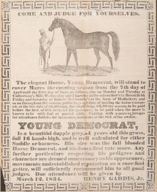 Item #39010 COME AND JUDGE FOR YOURSELVES. THE ELEGANT HORSE, YOUNG DEMOCRAT, WILL STAND TO COVER...