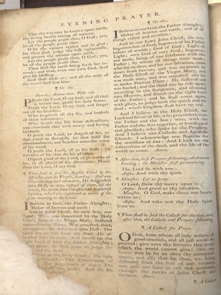 THE BOOK OF COMMON PRAYER, AND ADMINISTRATION OF THE SACRAMENTS, AND OTHER RITES AND CEREMONIES OF THE CHURCH, ACCORDING TO THE USE OF THE PROTESTANT EPISCOPAL CHURCH IN THE UNITED STATES OF AMERICA: TOGETHER WITH THE PSALTER, OR PSALMS OF DAVID.